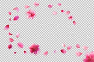 Falling sakura petals isolated on background. vector