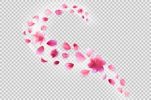 volador sakura pétalos flor decoración en antecedentes. vector