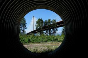 Port Mann Bridge over the Fraser River. Sunny Summer Surrey, Vancouver, British Columbia, Canada. shot of prohibited area from side mass of railway view from pipe white cables are stretched photo