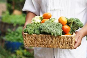 Close up vegetarian man hold basket of fresh organic vegetables in garden. Concept, food ingredient. Healthy eating, source of vitamins, fiber and nutritions. Fresh from garden.Agriculture products. photo