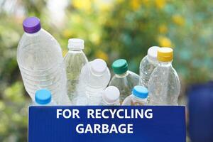 el plastico botellas en azul caja con texto para reciclaje basura. concepto, clasificación basura Campaña antes de lanzar lejos para reutilizar o reciclar. ambiente conservación. eco simpático actividad. foto