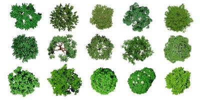 Collection of 3D Top view Green Trees Isolated on white background , Use for visualization in architectural design or garden decorate photo
