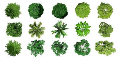 Collection of 3D Top view Green Trees Isolated on white background , Use for visualization in architectural design or garden decorate photo