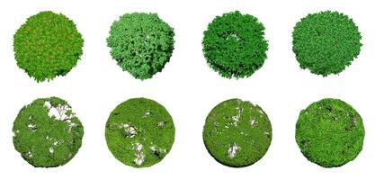 Collection of 3D Top view Green Trees Isolated on white background , Use for visualization in architectural design or garden decorate photo