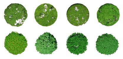 Collection of 3D Top view Green Trees Isolated on white background , Use for visualization in architectural design or garden decorate photo