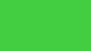 fluid transitions loop animation video