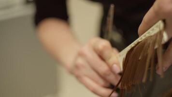 Stylish Haircut. Close-Up of Hairdresser's Scissors in Action. High quality 4k footage video