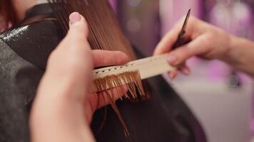 fermer de le mains de une fumeur Coupe cheveux avec ciseaux. mode de vie coupes de cheveux et beauté procédures dans une coiffure studio. haute qualité 4k métrage video