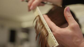 een detailopname van een kapper trekt haar- met een kam en bezuinigingen het met schaar. vrouwen kapsel door een professioneel in een schoonheid salon. hoog kwaliteit 4k beeldmateriaal video