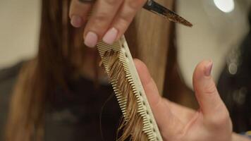 cabeleireiro arte. fechar-se do cabeleireiro tesouras corte uma mulher cabelo, à moda e elegante Penteado e corte de cabelo dentro uma beleza salão. Alto qualidade 4k cenas video