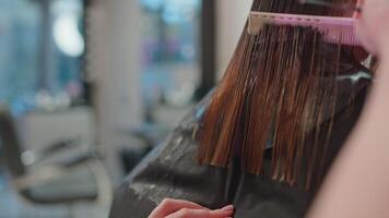 avvicinamento di parrucchiere forbici taglio un' donna di capelli. lavorazione un' elegante e alla moda acconciatura nel un' bellezza salone, professionale parrucchiere processi. alto qualità 4k metraggio video