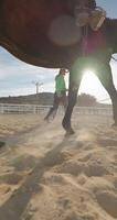 Ranch Leben. Mädchen und Trainer beschäftigt, verlobt im Pferdesport Ausbildung, üben zu Pferd Reiten mit Pflege und Liebe zum Tiere, Vorbereitung zum Wettbewerbe. hoch Qualität 4k Aufnahmen video