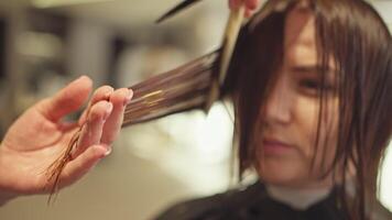 femme d'affaires image. professionnel la Coupe de cheveux et cheveux se soucier dans beauté salon, élégant et bien soigné regarder, professionnel beauté procédures. haute qualité 4k métrage video