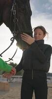 animal affection. jockey fille démontre l'amour et se soucier, caresse une cheval à le ranch, mode de vie chaleur et collage. haute qualité 4k métrage video