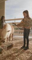 Happy smiling children feeding hay to horse in stable. glyph style care for animals love for them. High quality 4k footage video