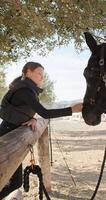 niña en jockey disfraz demostración amor y cuidado. caricias un caballo a rancho, estilo de vida calor. alto calidad 4k imágenes video