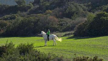 aérien vue de Dinka équitation une cheval dans une vert champ. le mode de vie de équitation, le bonheur de le sourit de en vacances sur le ranch. haute qualité 4k métrage video