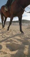 concorrenza prep. ragazza formazione nel groppa equitazione con allenatore a ranch, dimostrando stile di vita di cura e amore per animali. alto qualità 4k metraggio video