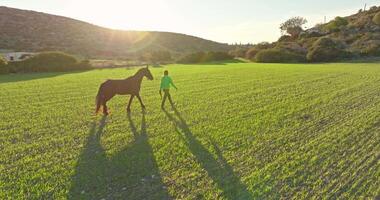 tranquilo rancho andar. aéreo tiro do mulher conduzindo cavalo através verde campo, demonstrando animal amor e Cuidado. Alto qualidade 4k cenas video