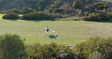 aérien vue mode de vie femme sauter sur une koi dans une magnifique la nature paysage. une amusement temps pays côté loisir cheval équitation. haute qualité 4k métrage video
