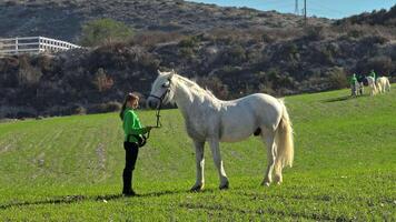 bindning med nåd. kvinna som visar vård och tillgivenhet till en häst medan gående tillsammans i ranch fält, exemplifierande bruka djur- vård och kärlek, njuter naturskön promenad med häst i naturens utmärkt video