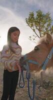 caucasico ragazza bambino feed un' cavallo. cura per animali su il azienda agricola, cura per loro. alto qualità 4k metraggio video