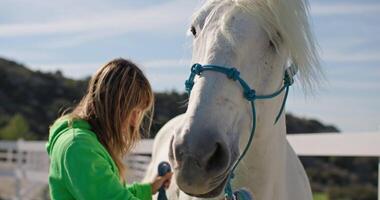 Woman Bonding with Horse. Walking and Petting in Ranch Field, Care and Animal Love on Farm, Walking Horse in Beautiful Natural Landscape. High quality 4k footage video