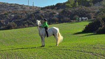 uma mulher é equitação uma cavalo dentro uma lindo natural panorama. uma jóquei trens uma cavalo e prepara para uma corrida. Alto qualidade 4k cenas video