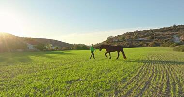 serenidade dentro voo. aéreo Visão do mulher e cavalo caminhando dentro rancho campo, exemplificando animal Cuidado e amar. Alto qualidade 4k cenas video