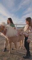 esplorando natura su il azienda agricola. bambini avendo divertimento cura per animali, ragazze petting un' piccolo cavallo a un' pittoresco ranch. alto qualità 4k metraggio video