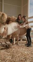 Lebensstil kaukasisch Kinder Mädchen Umarmung ein Pferd. Pflege zum Tiere auf das Bauernhof ist Pflege und Liebe. hoch Qualität 4k Aufnahmen video
