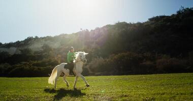 fille à cheval équitation sur ranch, mode de vie de équitation dans nature, l'amour pour animaux et content se soucier video