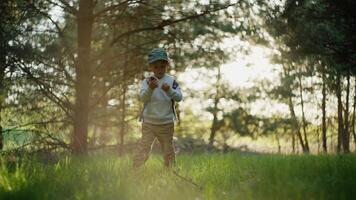 bambino a piedi nel il boschi solo. ragazzo su un' camminare nel il parco a tramonto. video