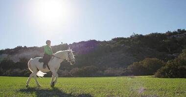 ranch avventura. ragazza equitazione cavallo, stile di vita di groppa equitazione nel bellissimo naturale paesaggio, amore per animali e cura. alto qualità 4k metraggio video