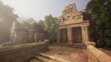 Ruins of Ancient Temple Amidst Dense Jungle video