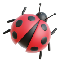 coccinelle 3d illustration png