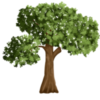 tree clip art png