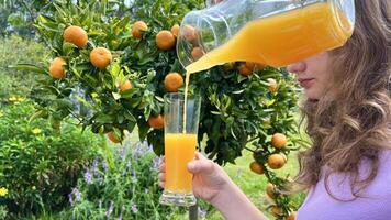 a girl pours tangerine or orange juice against the background of an orange or tangerine tree into one jug a glass and a lot of citrus fruits photo