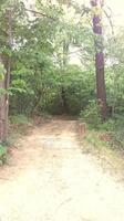 A day in the forest park photo