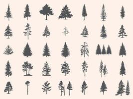 Silhouettes Trees Set, Pine Tree fir pruce cedar white patch alder elm birch ash cypress beech palm tree. vector