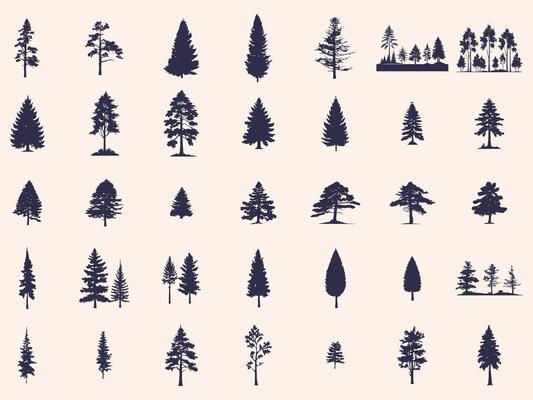 Silhouettes Trees Set, Pine Tree fir pruce cedar white patch alder elm birch ash cypress beech palm tree.