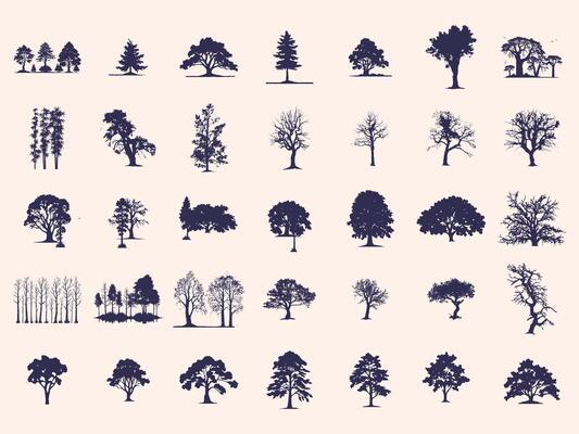 Silhouettes Trees Set, Pine Tree fir pruce cedar white patch alder elm birch ash cypress beech palm tree.