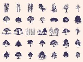 Silhouettes Trees Set, Pine Tree fir pruce cedar white patch alder elm birch ash cypress beech palm tree. vector