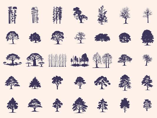 Silhouettes Trees Set, Pine Tree fir pruce cedar white patch alder elm birch ash cypress beech palm tree.