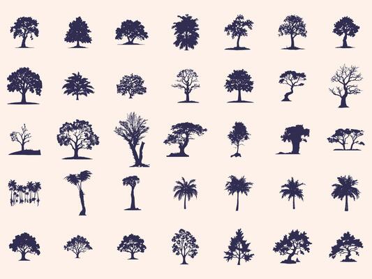 Silhouettes Trees Set, Pine Tree fir pruce cedar white patch alder elm birch ash cypress beech palm tree.