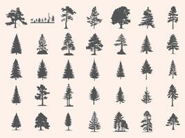 Silhouettes Trees Set, Pine Tree fir pruce cedar white patch alder elm birch ash cypress beech palm tree. vector