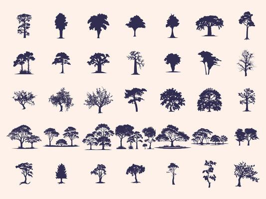 Silhouettes Trees Set, Pine Tree fir pruce cedar white patch alder elm birch ash cypress beech palm tree.