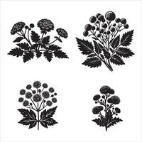 Ageratum flower silhouette icon graphic logo design vector