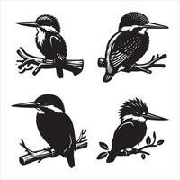 Kingfisher silhouette icon graphic logo design vector