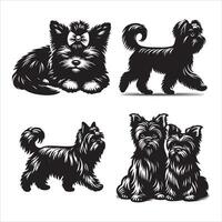 Affenpinscher dog silhouette icon graphic logo design vector